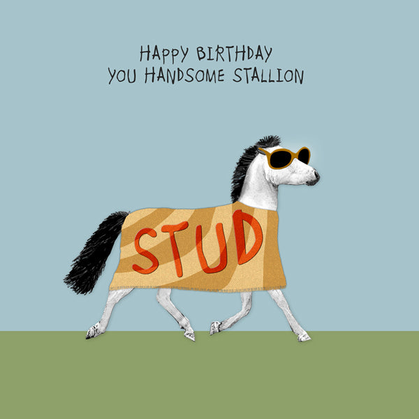 Happy Birthday Handsome Stallion