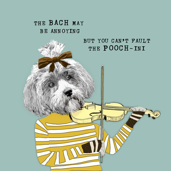 cute dog playing violin. 'the Bach may be annoying but you can't fault the poochini'
